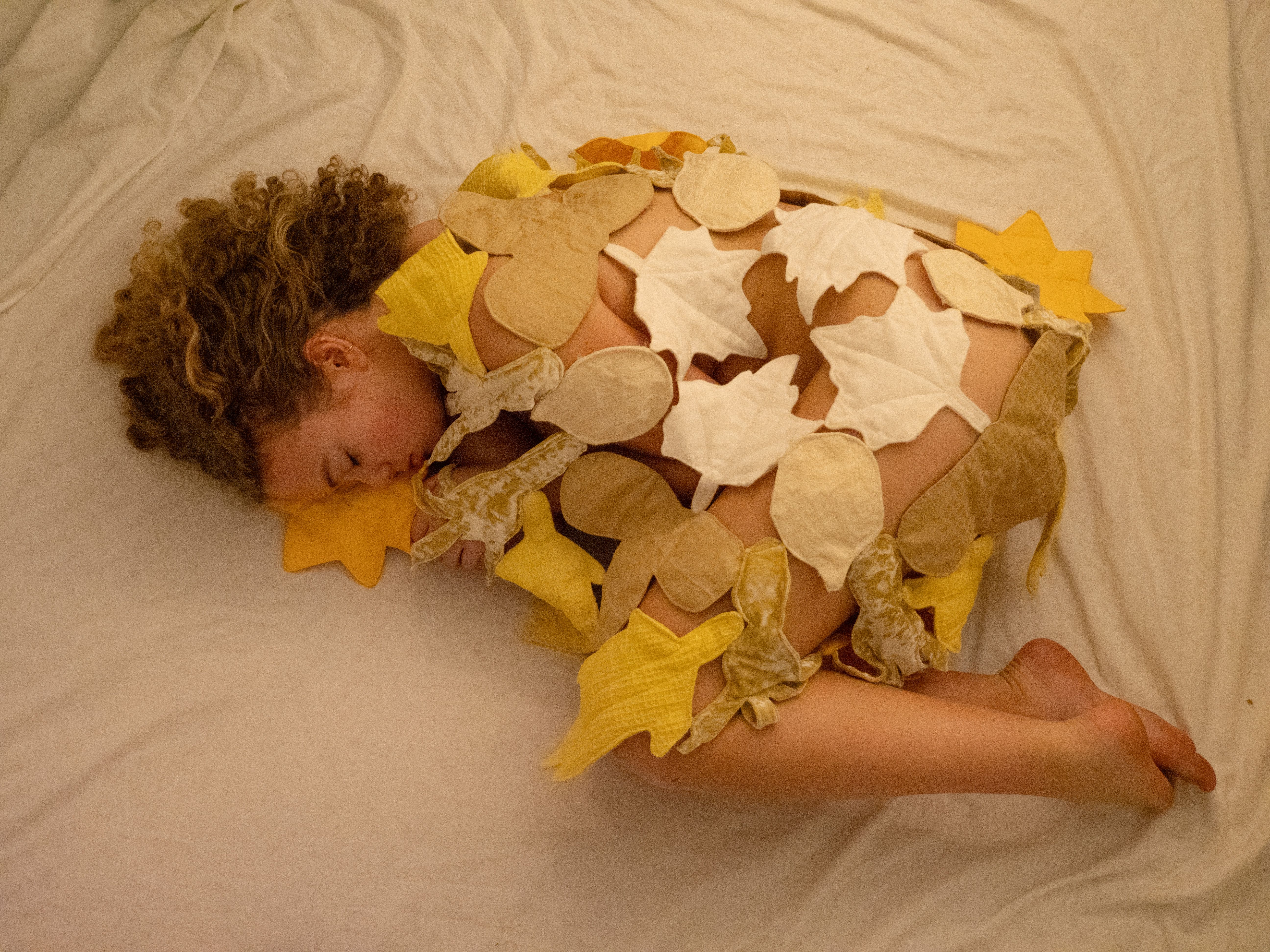 Comfort Quilt 3 (2024)